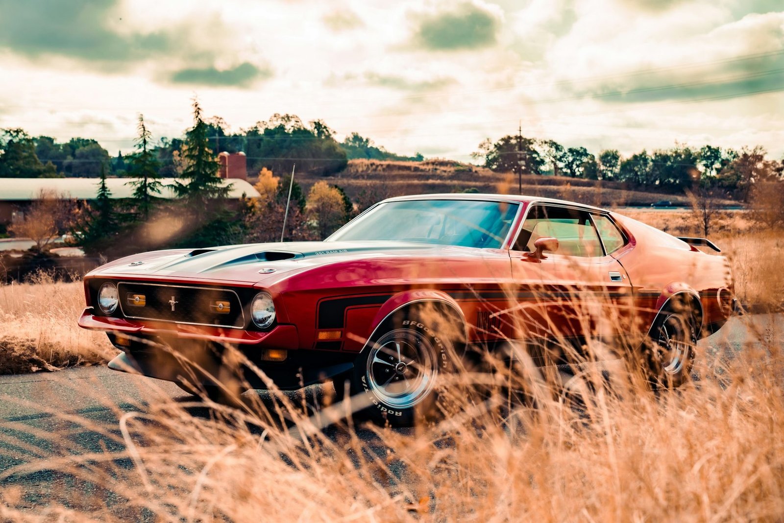 Red classic American coupe parked beside tall golden grass.