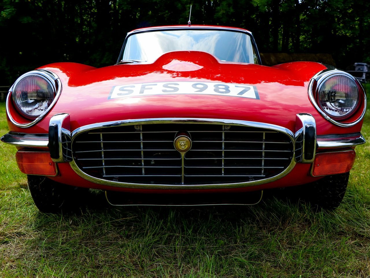Front view of a red vintage open-top sports car parked on grass.